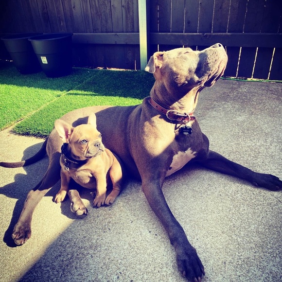 Meet your Posher, Neva - Picture 7 of 16